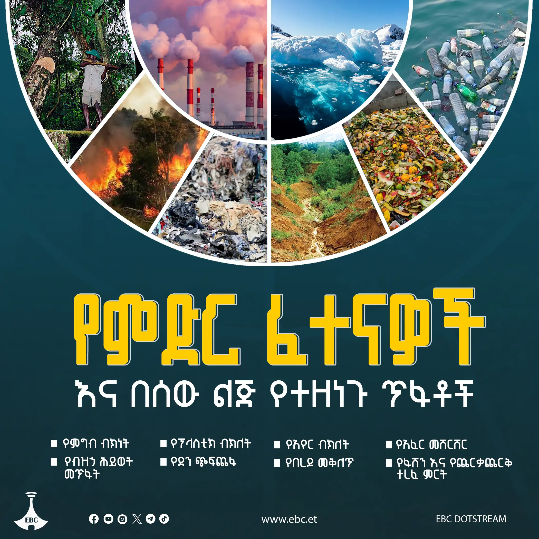 The Importance of Sleep: Tips for Better Rest and Recovery