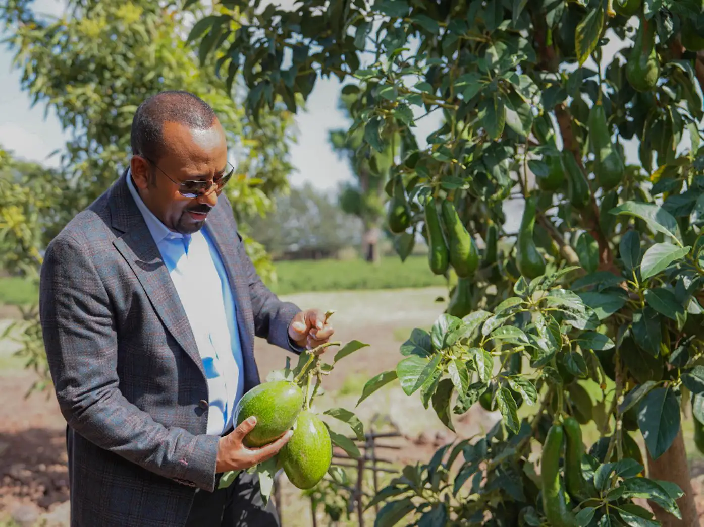 The Importance of Sleep: Tips for Better Rest and Recovery