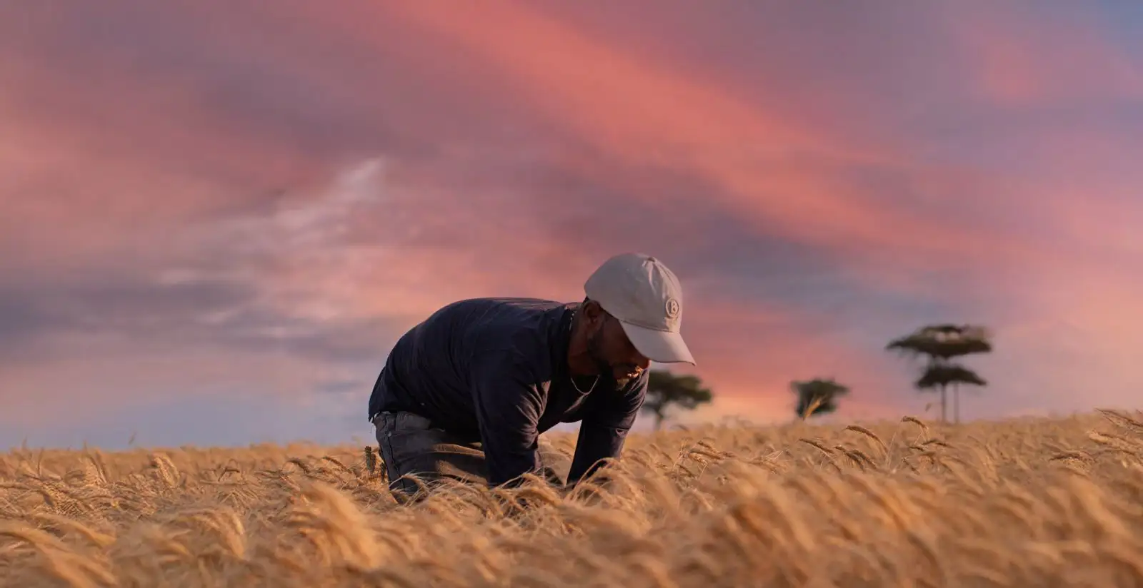 ዘመናዊ ግብርና በኢትዮጵያ