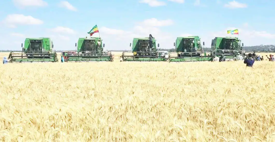 የኢኮኖሚ ሉዓላዊነትን ለማረጋገጥ ወሳኝ የሆነው የምርታማነት ጅማሮ