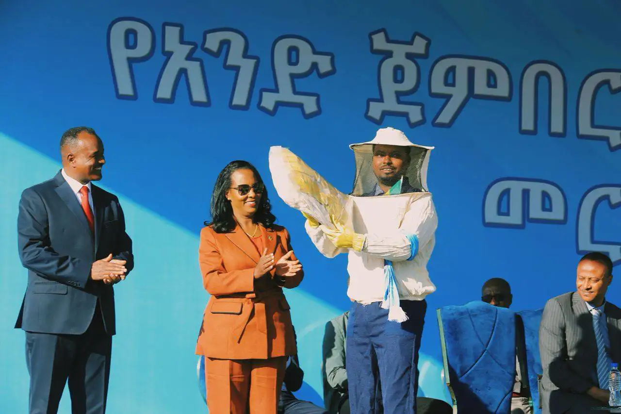 The Importance of Sleep: Tips for Better Rest and Recovery