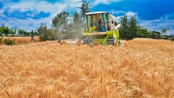 ውጤት የታየበት የግብርና ሽግግር