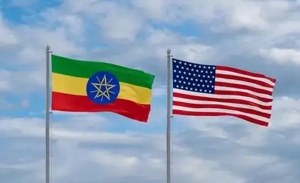 The Importance of Sleep: Tips for Better Rest and Recovery