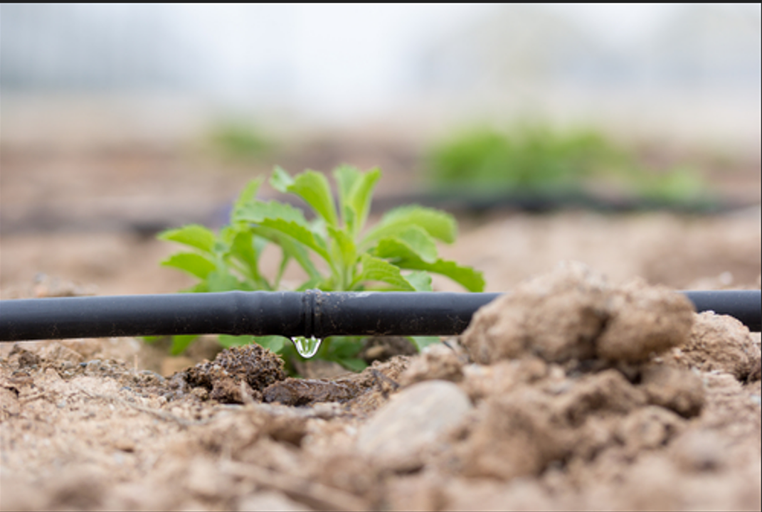 The Importance of Sleep: Tips for Better Rest and Recovery