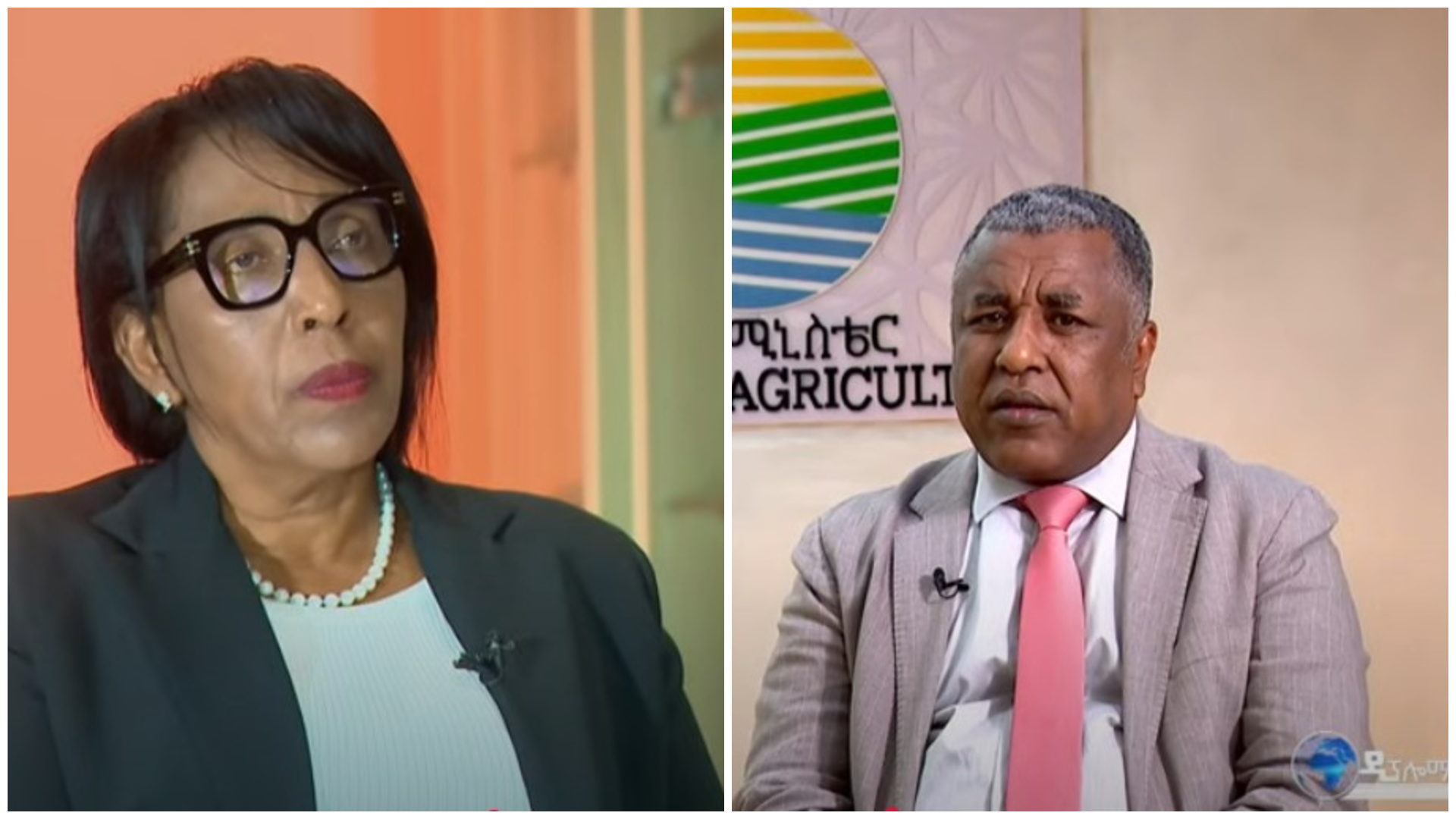 Ethiopia Emerges as African Leader in Food System Transformation