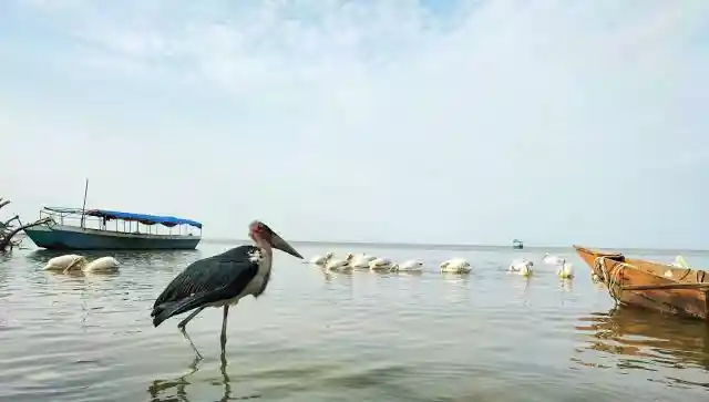 Lake Dembel in Batu Emerges as Growing Tourist Hotspot