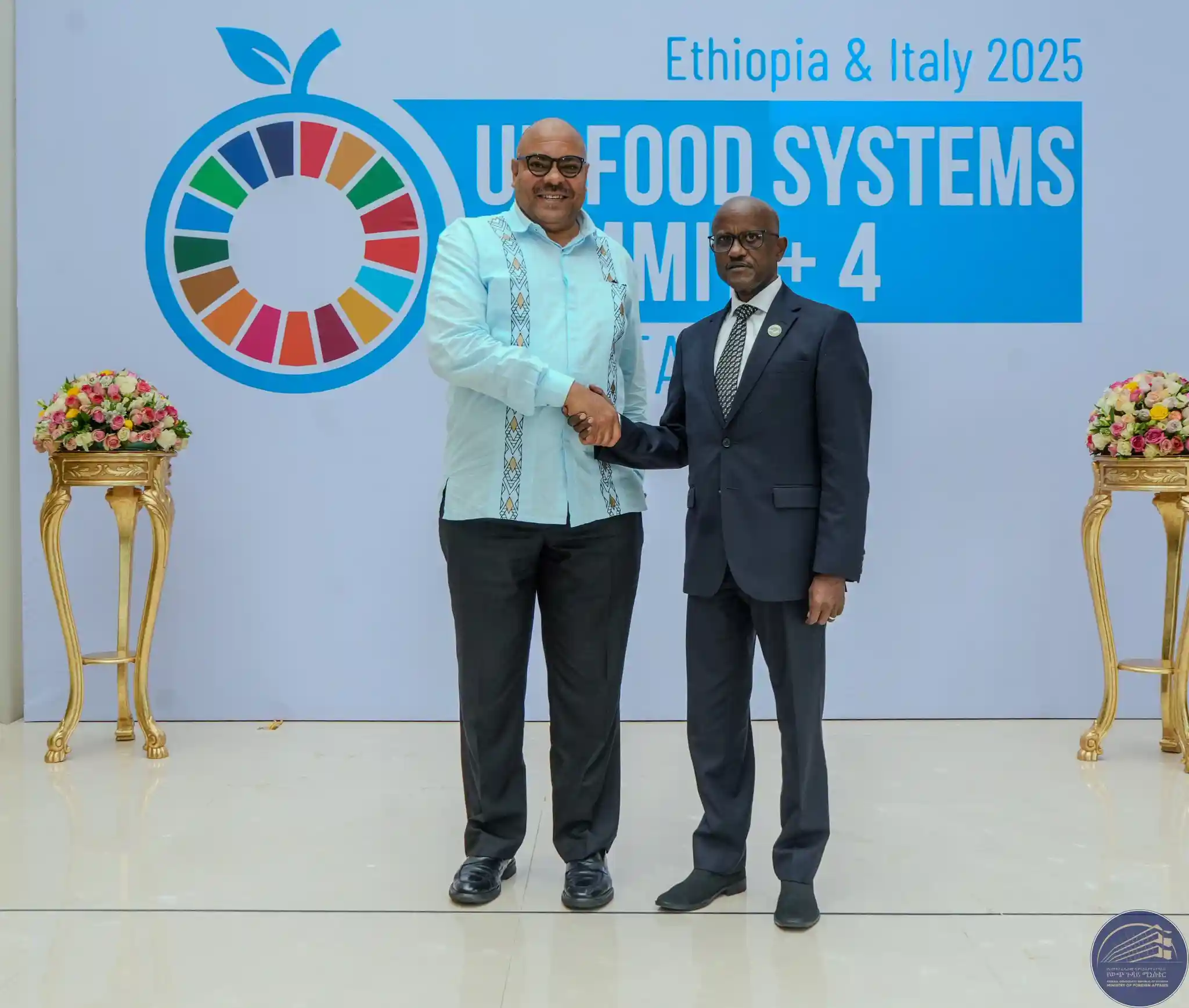 Tanzania's Foreign Minister Arrives in Addis Ababa
