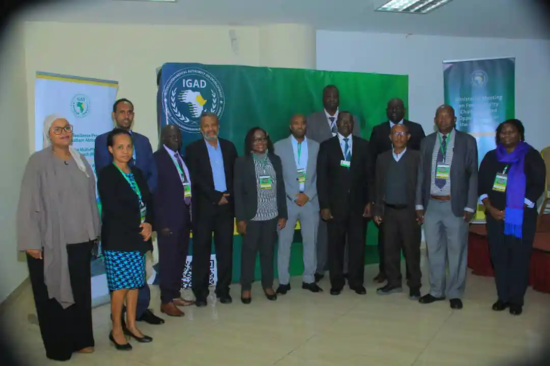 Experts Convene In Addis Ababa To Tackle Food Security Challenges