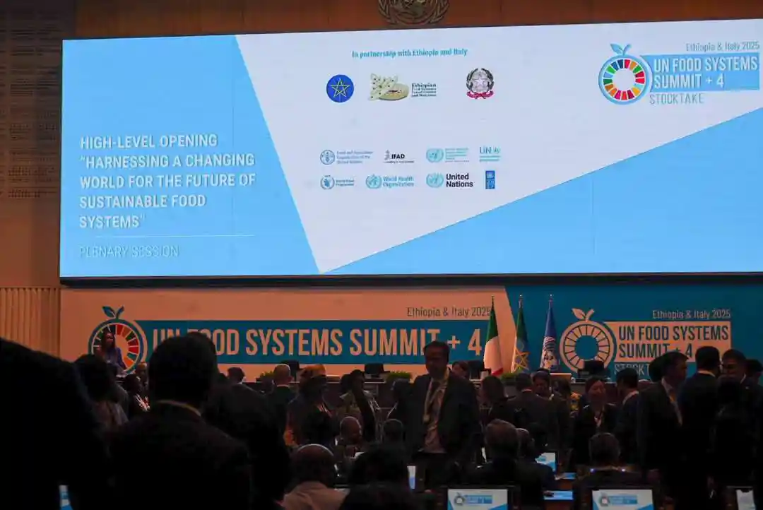 2nd UN Food Systems Summit Kicks Off in Addis Ababa