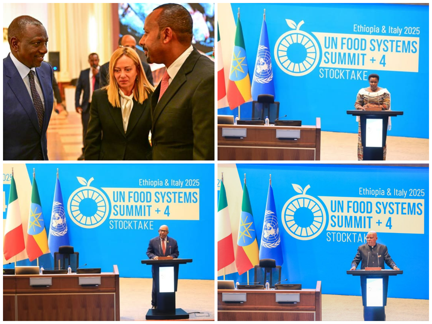 African Leaders Urge Action on Food Security at Addis Ababa Summit
