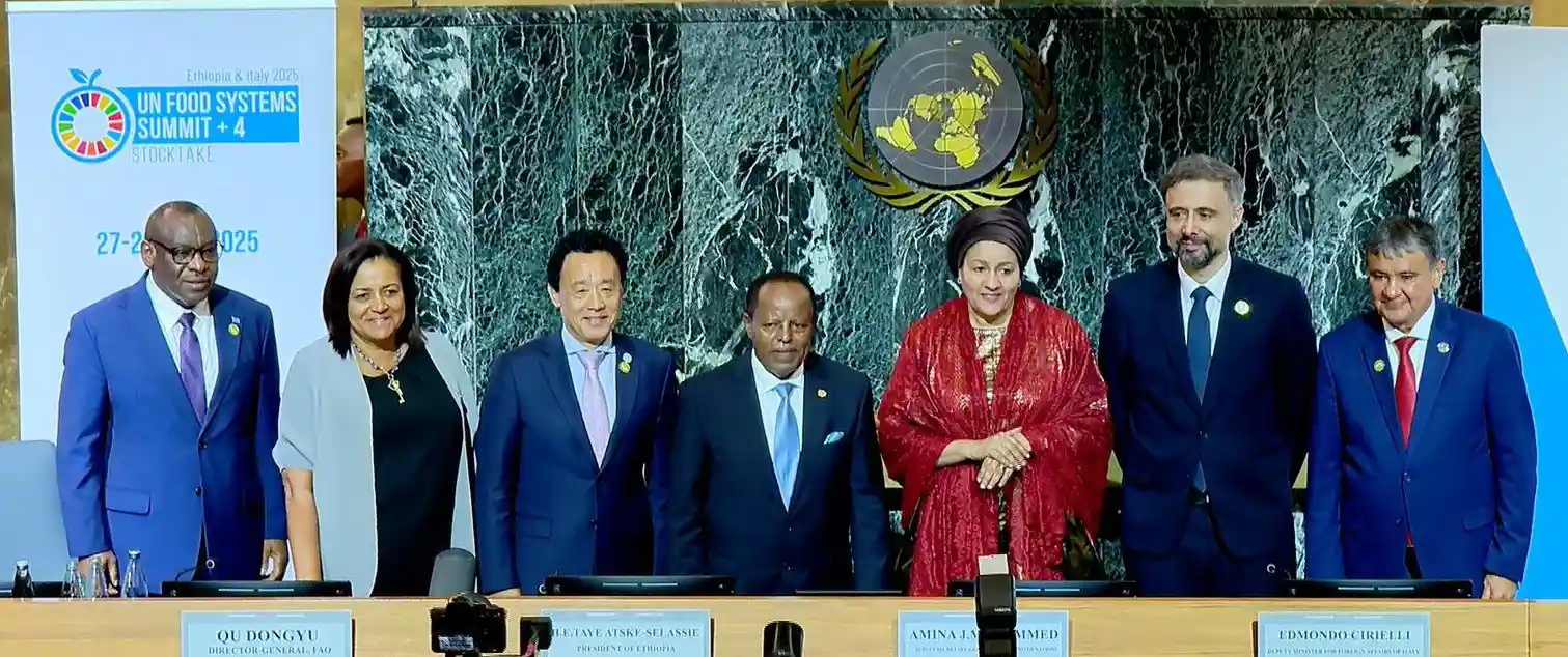 Leaders Urge Urgent Collaboration on Food Security at Addis Ababa Summit