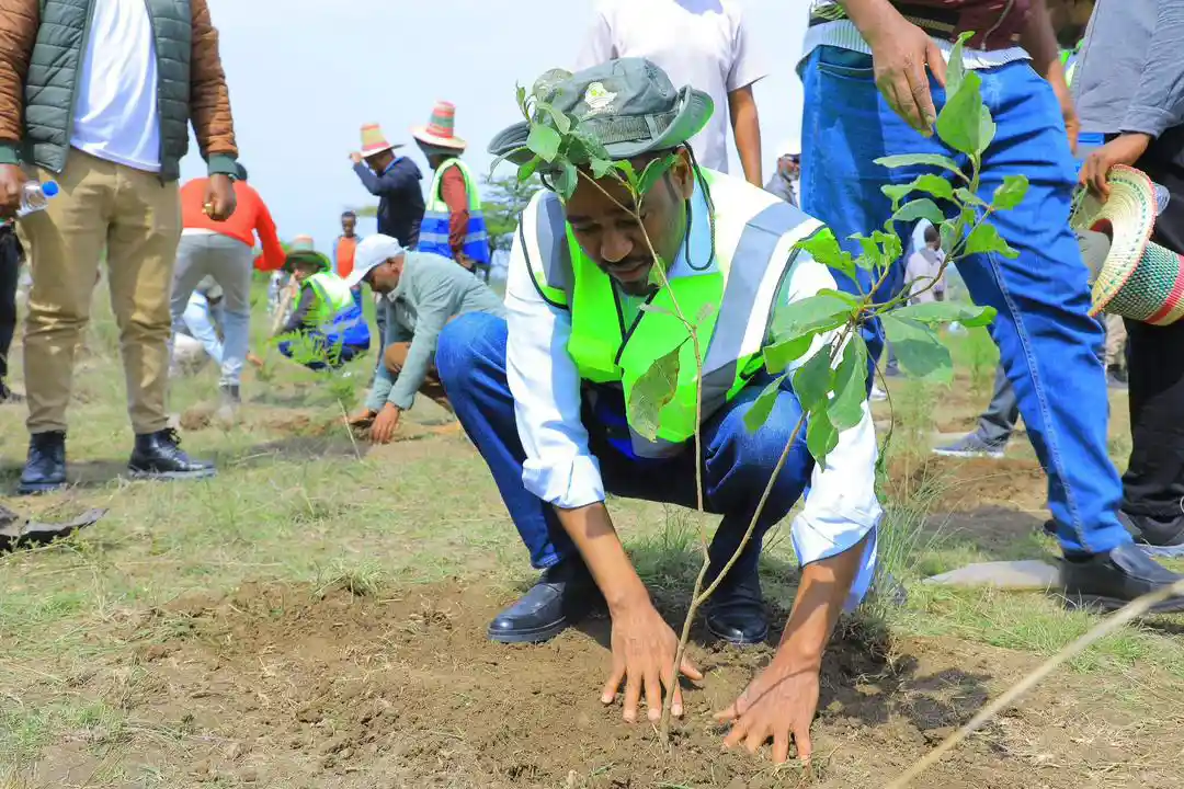 Ethiopia Plants Hope: Green Legacy Takes Root Nationwide