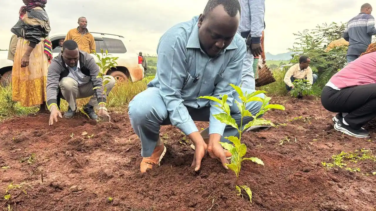 Benishangul Gumuz Plants Seeds of Hope in One-Day Effort