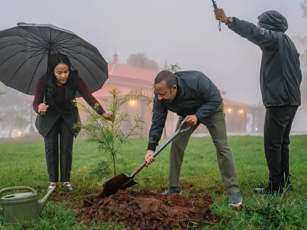 Ethiopia Targets 50 Billion Trees: PM Abiy Launches Ambitious Planting Drive