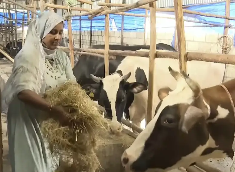 ከስደት መልስ ወደኢንቨስትመንት የገባችው ስኬታማ አርብቶ አደር