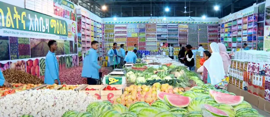 ለ5 ዓመታት ያገለገሉ ሰራተኞቹ የእራሳቸውን ሥራ እንዲጀምሩ የሚያግዘው ድርጅት