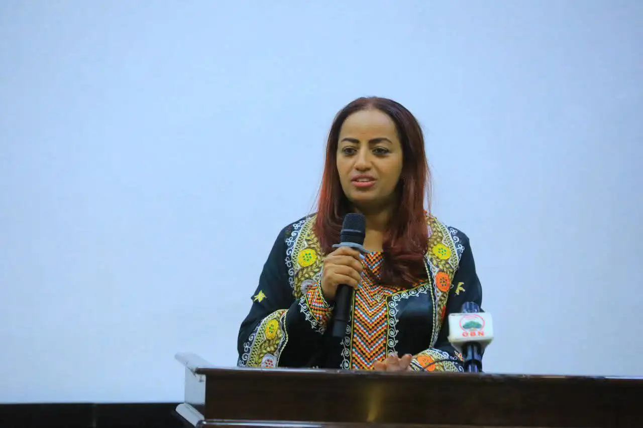 Ethiopia: 3 Million Mothers Received Childbirth Services in 2017 Fiscal Year