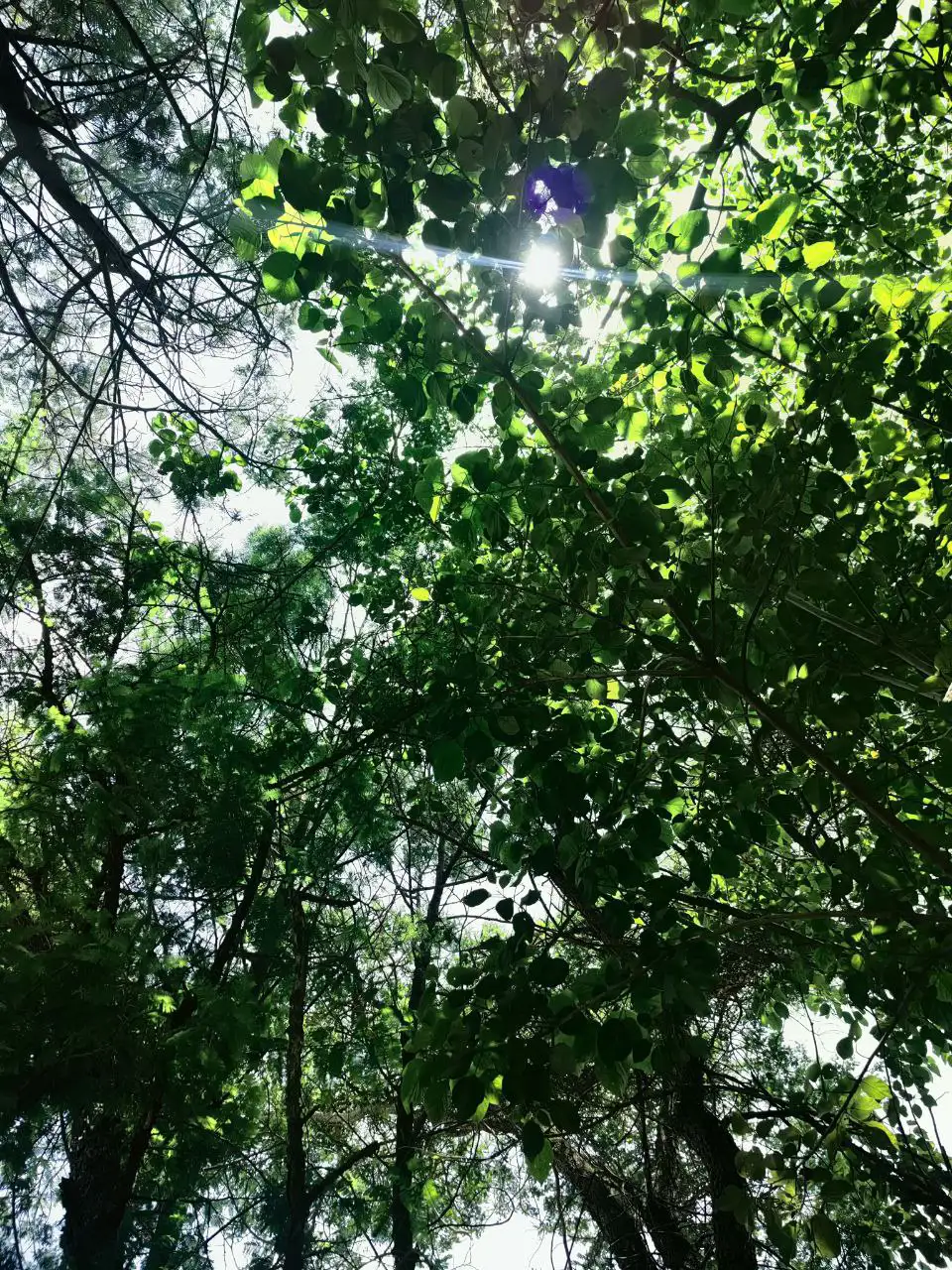 A Place to Breathe