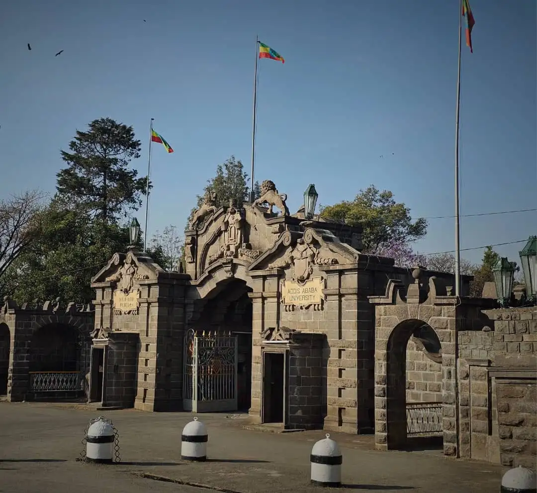 አዲስ አበባ ዩኒቨርሲቲ የአጭር ጊዜ የሙያ ስልጠናዎችን መስጠት ሊጀምር ነው