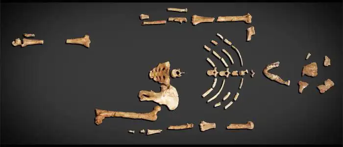 ሉሲ (ድንቅነሽ) ወደ ቼክ ሪፐብሊክ ተሸኘች