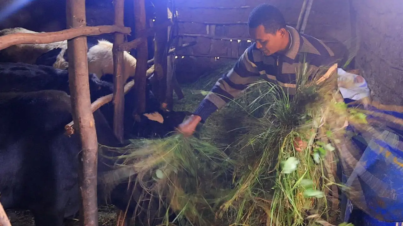 ከ7 ዓመታት የስደት ኑሮ በኋላ በሀገሩ የተረጋጋ ሕይወት መምራት የጀመረው ወጣት