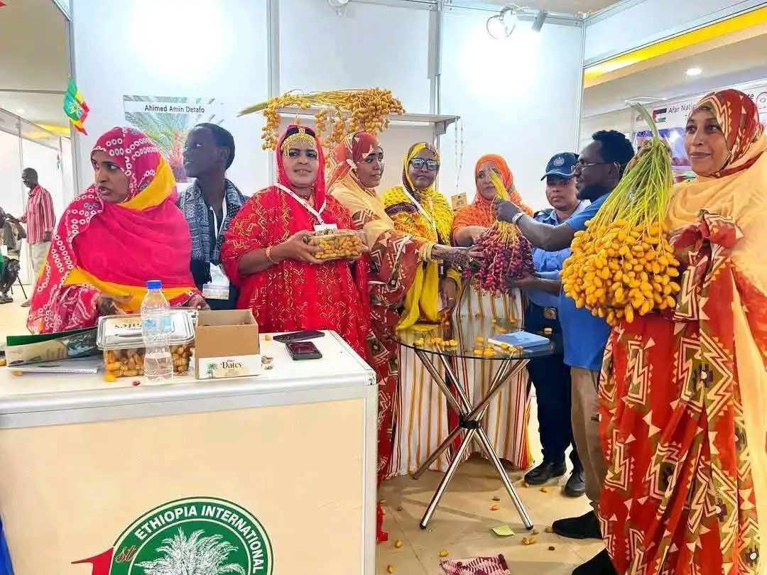 ኢትዮጵያ ለቴምር ልማት ምቹ የሆነ እምቅ አቅም አላት - የቴምር ፌስቲቫል ተሳታፊዎች
