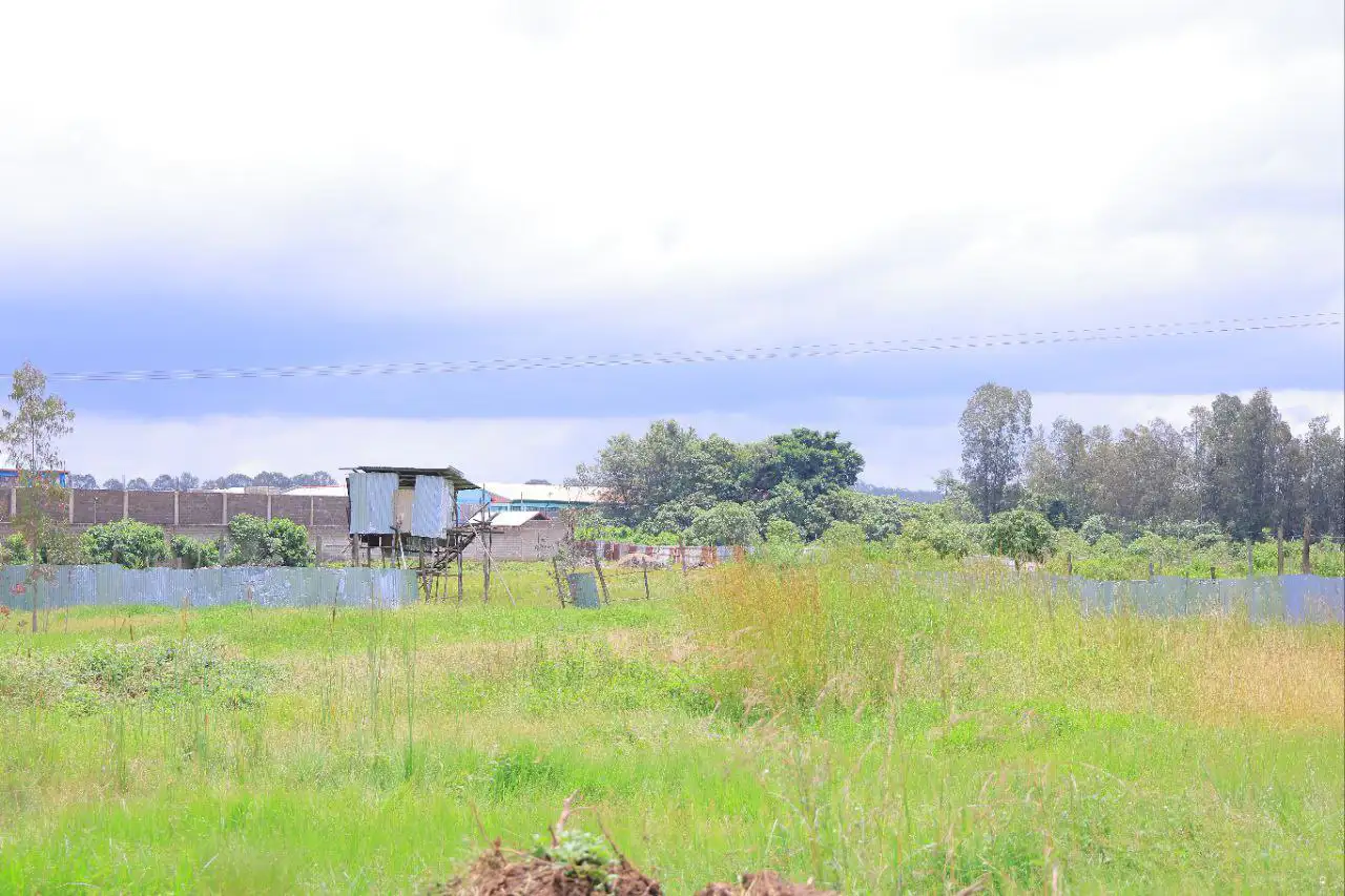 በሕገ-ወጥ መንገድ ለግለሰቦች ሊተላለፍ የነበረ 35 ሺህ ካሬ ሜትር መሬት ማዳን ተችሏል - የወላይታ ሶዶ ከተማ አስተዳደር 