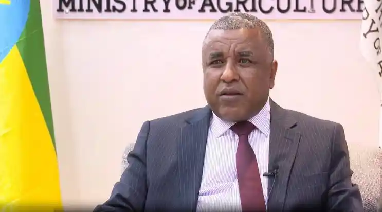 Ethiopia's Former Agriculture Minister Appointed as Permanent Representative to the UN and WTO