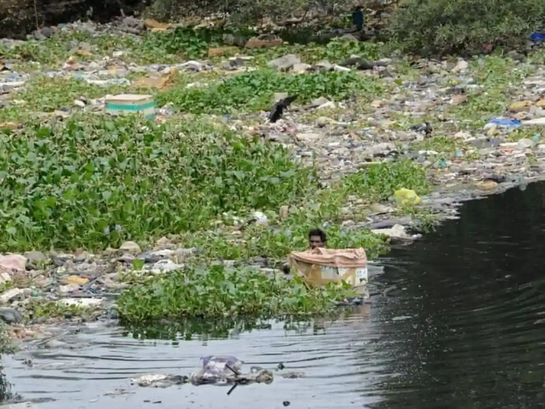 New Study Links Plastic Production to Health Risks Throughout Its Lifecycle