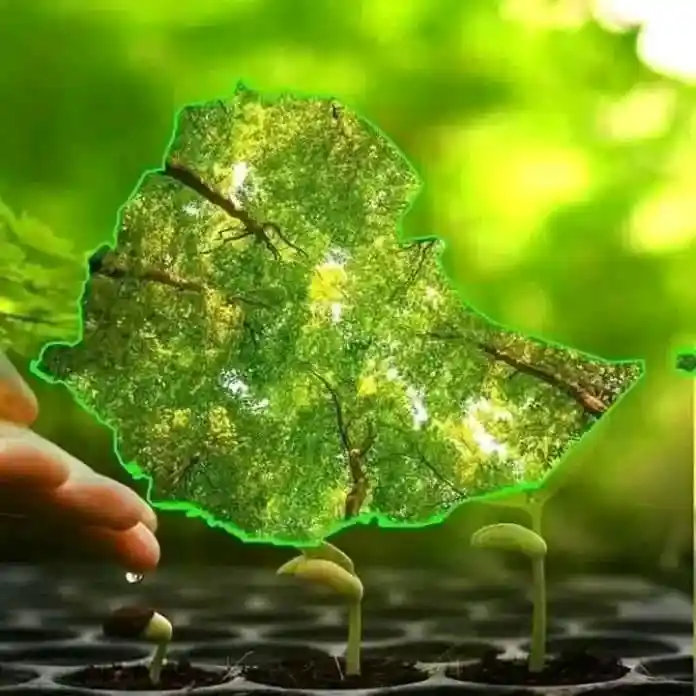 The Green Legacy Initiative Reaches a New High