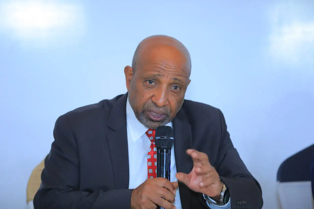 ዩኒቨርሲቲዎች የበለጠ ችሎታ ባላቸው የእውቀት ዘርፎች ላይ እንዲያተኩሩ ይደረጋል - ፕሮፌሰር ብርሃኑ ነጋ