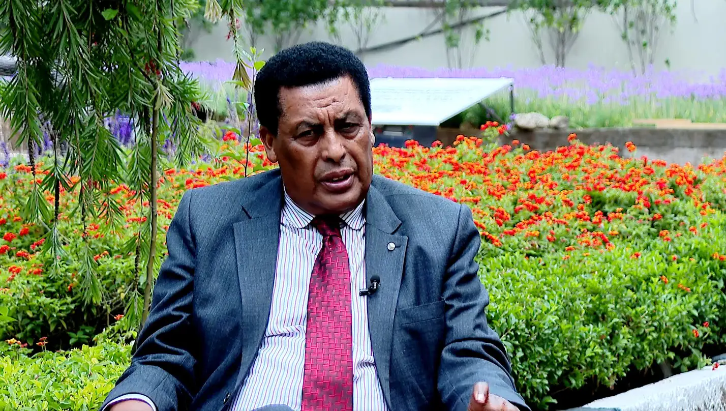ሕዳሴ ሀገራዊ ጉዳይን በማስቀደም ውጤት ማስመዝገብ እንደሚቻል የታየበት ነው - አምባሳደር ዲና ሙፍቲ 