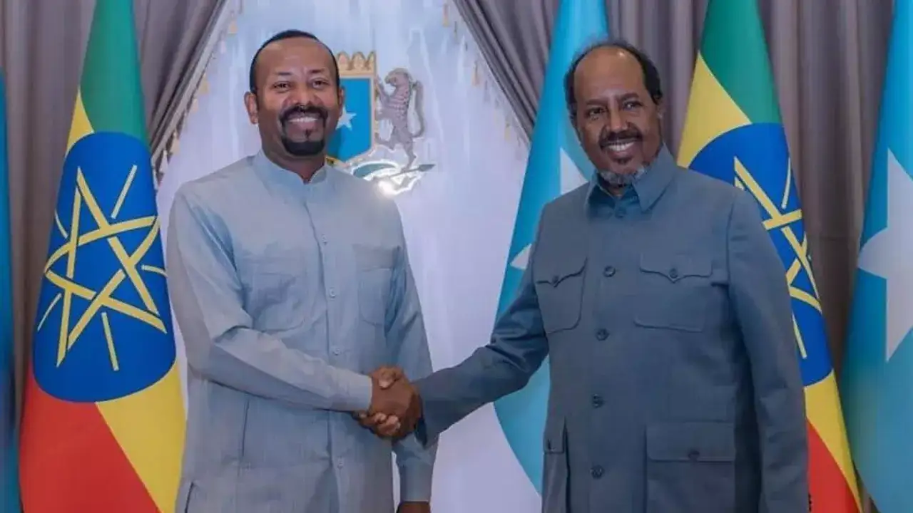 Somali Leader Backs Ethiopia's Bid for Sea Access, Citing International Law