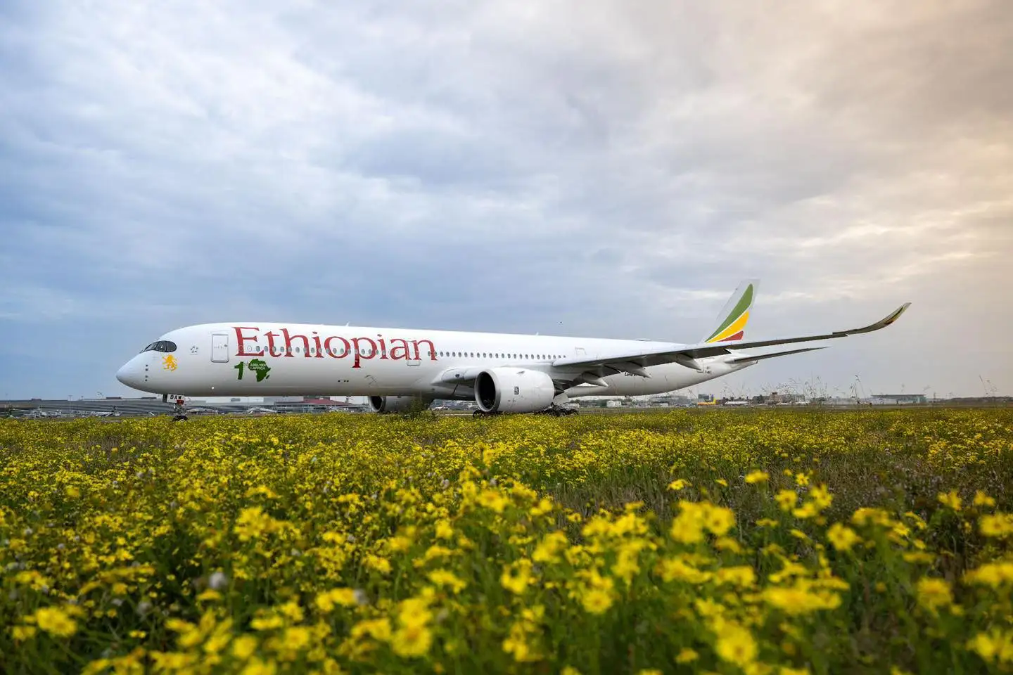 የቢሾፍቱ ዓለም አቀፍ አውሮፕላን ማረፊያ ግንባታን በኅዳር ወር መጨረሻ ይጀመራል - የኢትዮጵያ አየር መንገድ