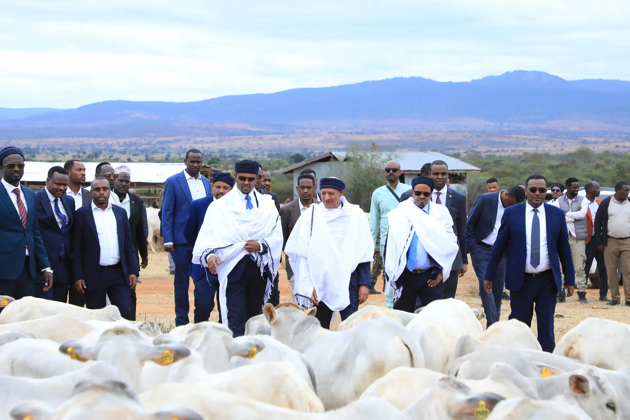 በዝናብ እጥረት በድርቅ ሲፈተን የነበረው የቦረና ዞን በአዲስ ምዕራፍ ላይ ይገኛል፡- ምክትል ጠቅላይ ሚኒስትር ተመስገን