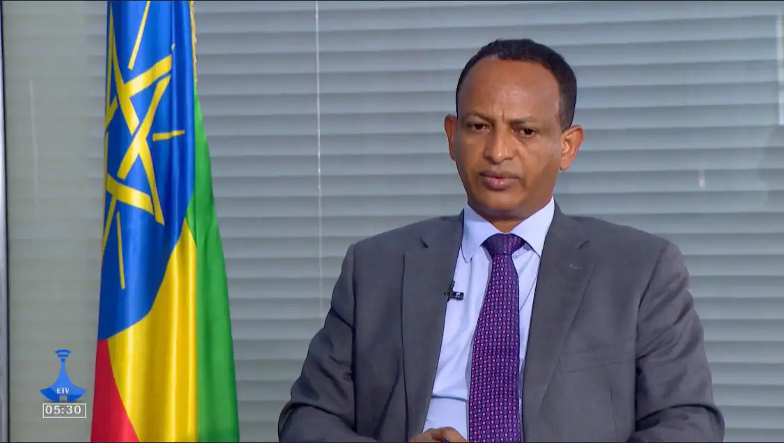 Diaspora's Unwavering Support Secured Renaissance Dam Triumph, Official States