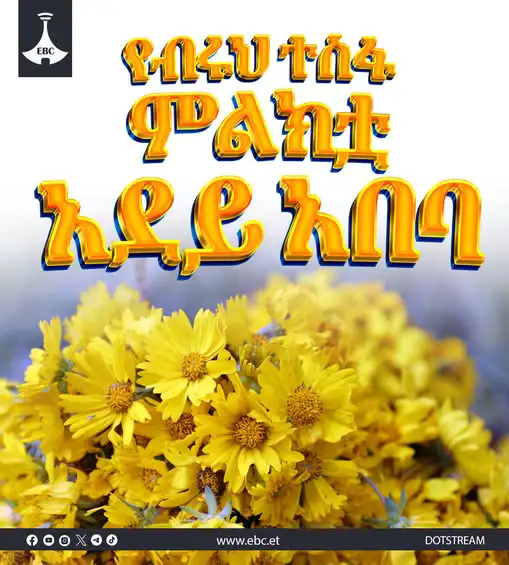 የብሩህ ተስፋ ምልክቷ አደይ አበባ 