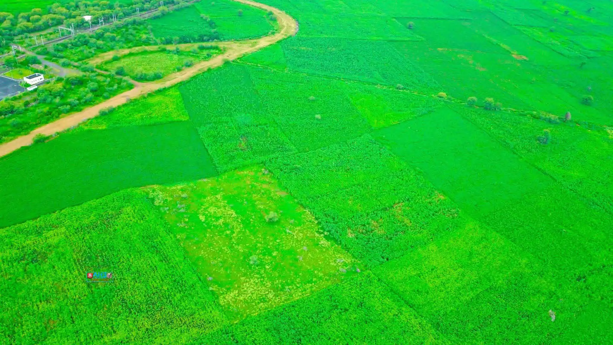 በአፋር የእርሻ ልማትን በማስፋፋት ከተረጂነት ወደ ምርታማነት ለመሸጋገር እየተከናወነ ያለው ሥራ