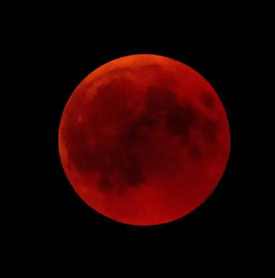 Total Lunar Eclipse Set to Occur on September 7, Expert Says