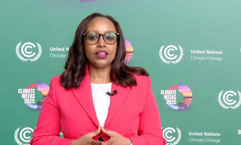 Why a Climate Summit in Ethiopia Could Redefine Africa's Role at COP-30?