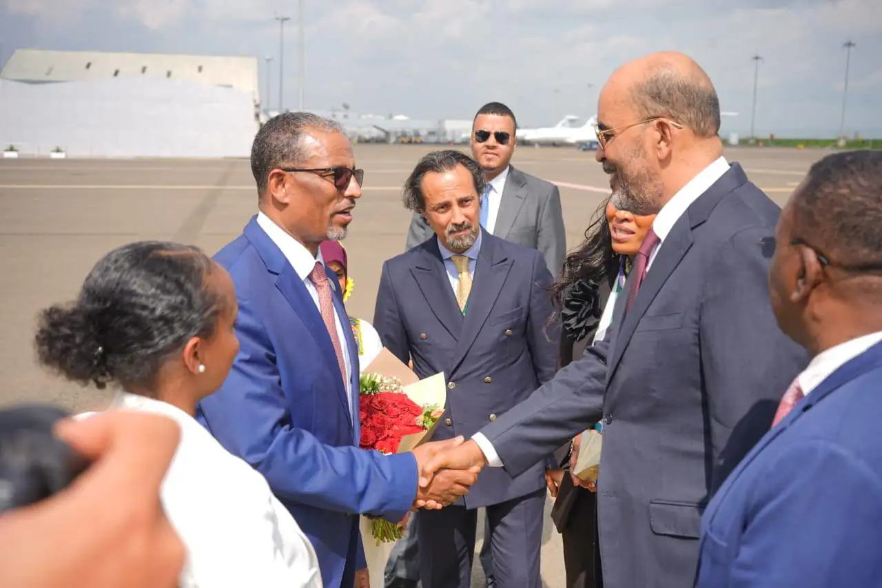 Tanzanian, Libyan VPs Arrive for Africa Climate Summit