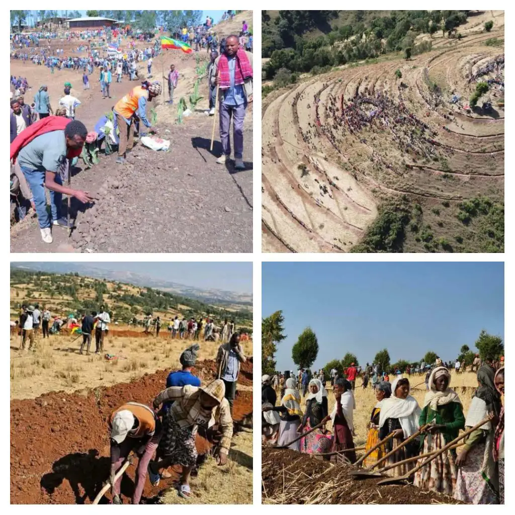 The Importance of Sleep: Tips for Better Rest and Recovery