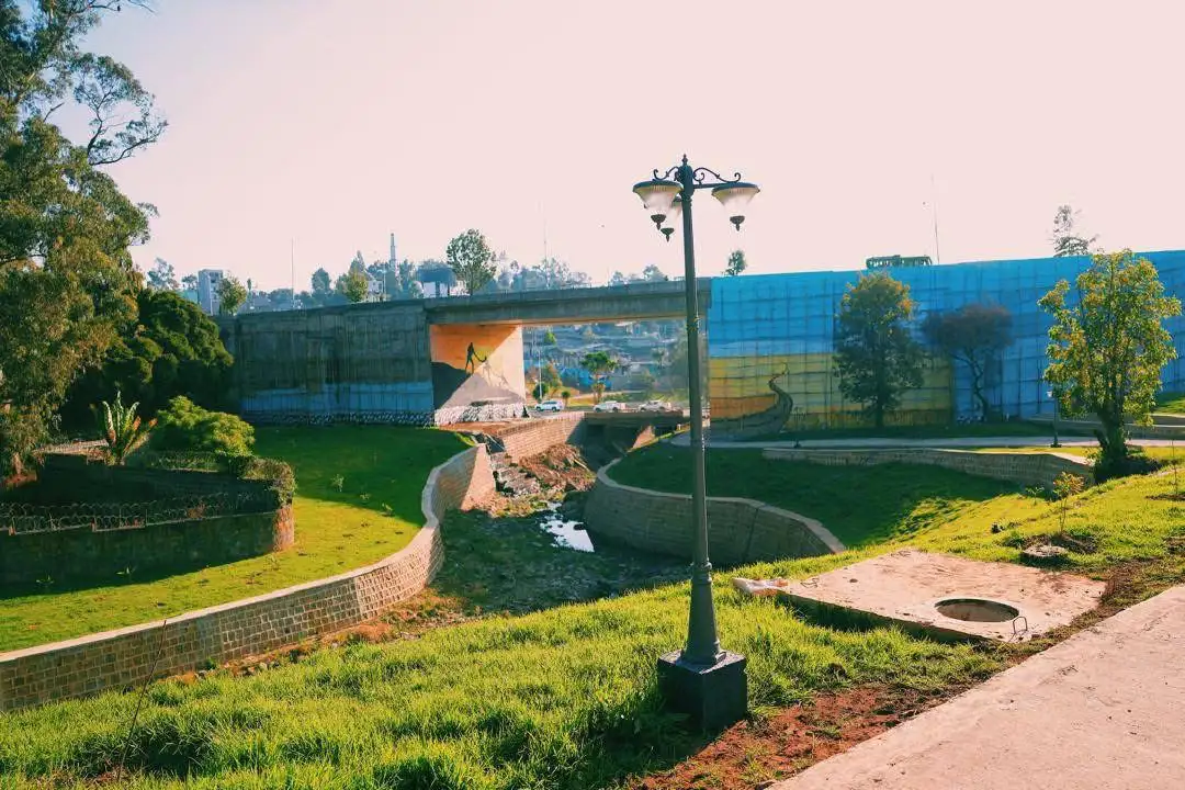 The Importance of Sleep: Tips for Better Rest and Recovery