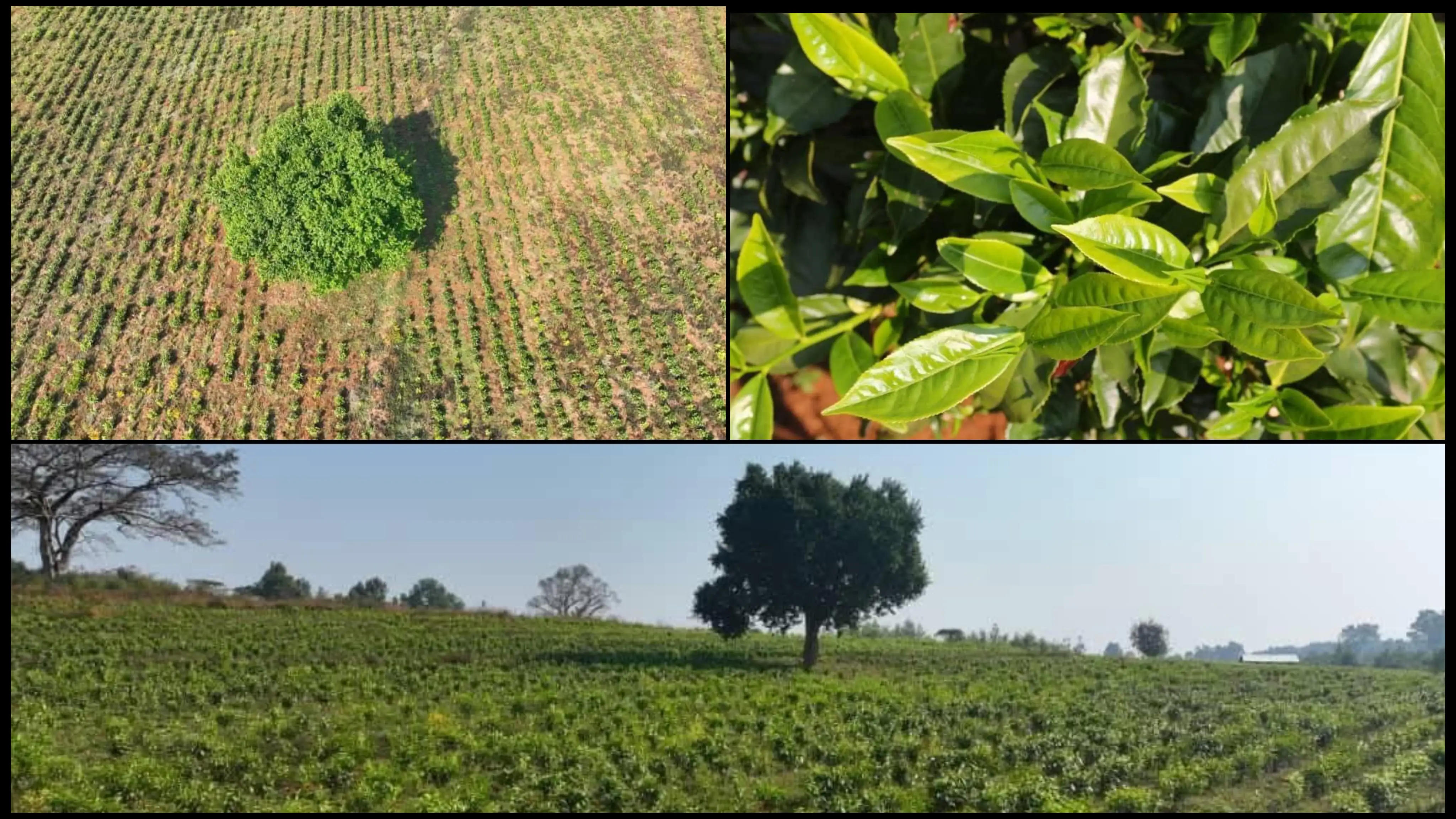 The Importance of Sleep: Tips for Better Rest and Recovery