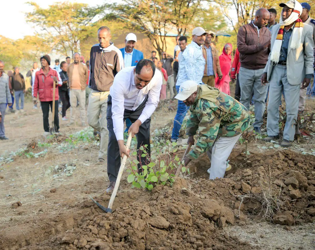 የአካባቢ ጥበቃ ሥራዎች የአፈር ለምነትን በመጨመር ለግብርና ምርት እድገት እገዛ እያደረጉ ነው፡- ርዕሰ መስተዳድር ደስታ ሌዳሞ