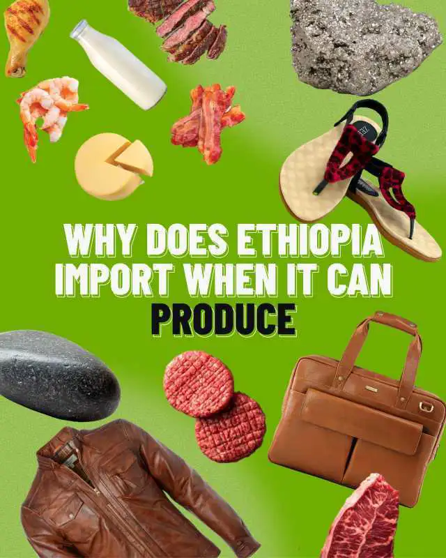 The Importance of Sleep: Tips for Better Rest and Recovery