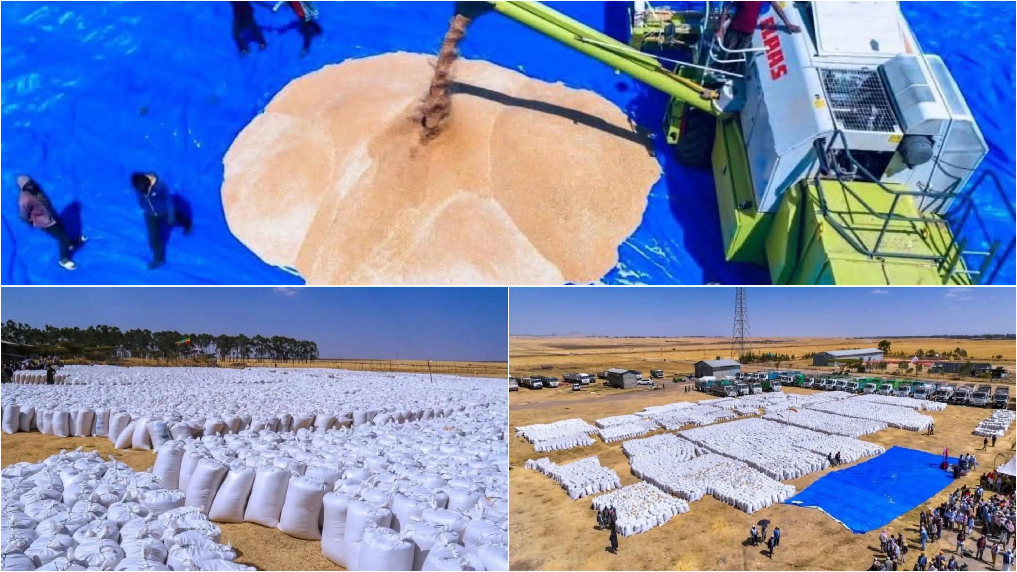 The Importance of Sleep: Tips for Better Rest and Recovery