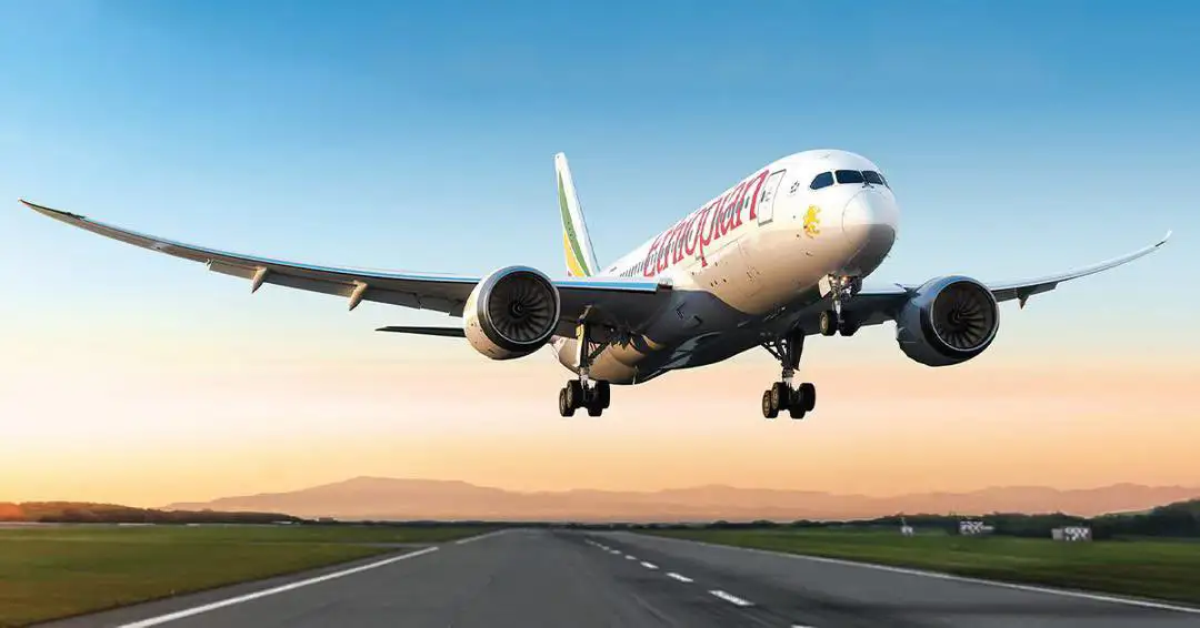 The Importance of Sleep: Tips for Better Rest and Recovery