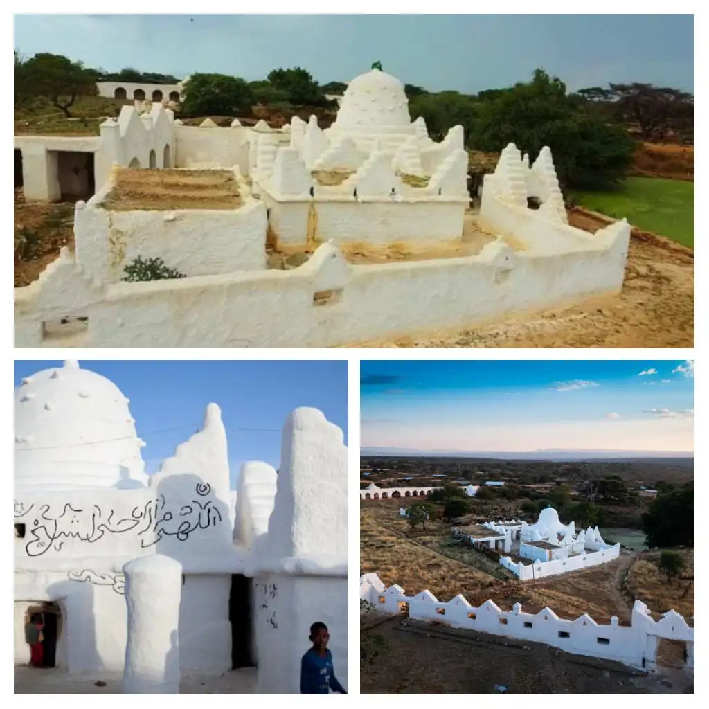 The Importance of Sleep: Tips for Better Rest and Recovery