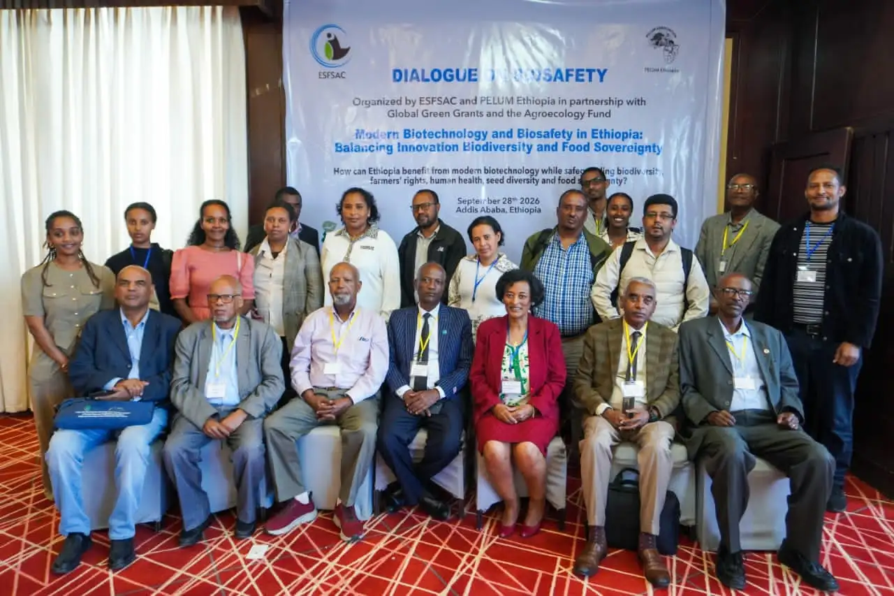 Blending Biotech, Local Knowledge to Transform Ethiopian Agriculture